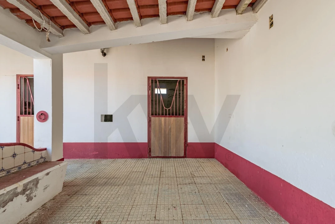 Quinta T3 para Venda em Viana do Alentejo Foto 4