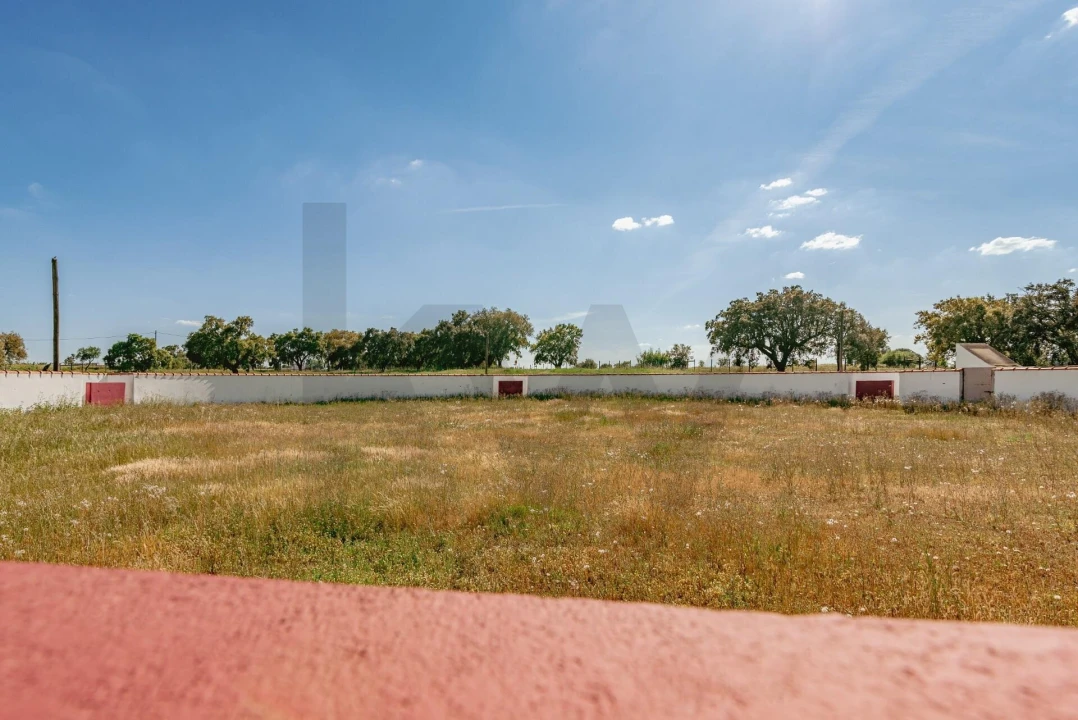 Quinta T3 para Venda em Viana do Alentejo Foto 68