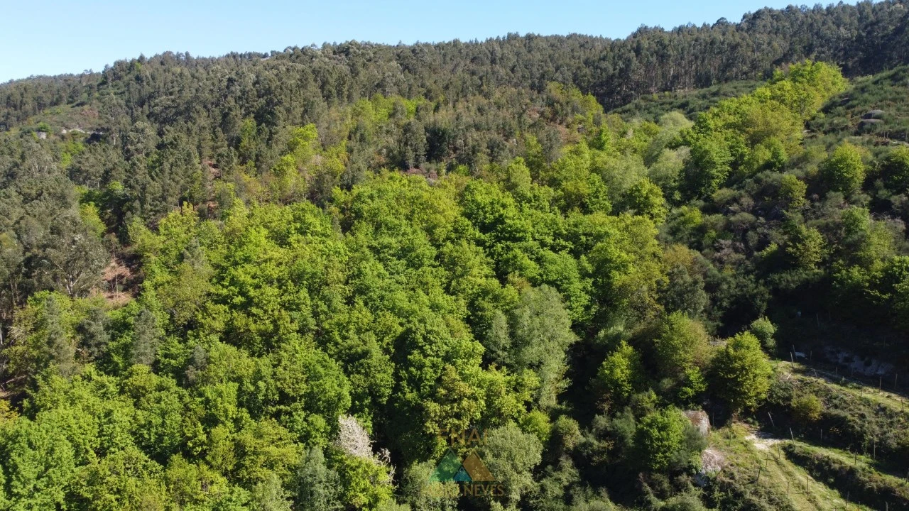 Moradia T3 para Venda em Caçarilhe e Infesta Foto 26