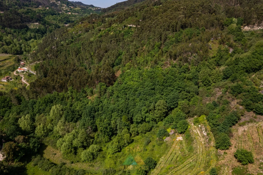 Moradia T3 para Venda em Caçarilhe e Infesta Foto 51