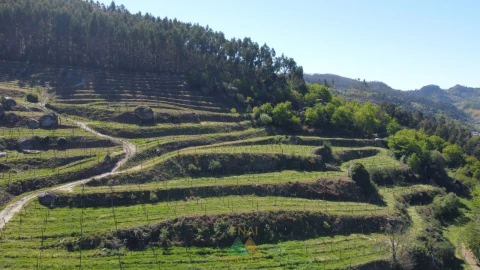Moradia T3 para Venda em Caçarilhe e Infesta