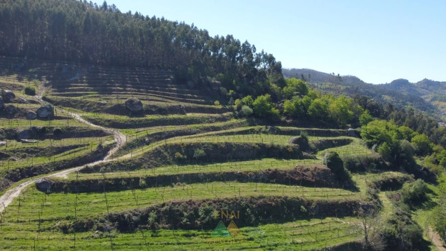 Moradia T3 para Venda em Caçarilhe e Infesta Foto 25