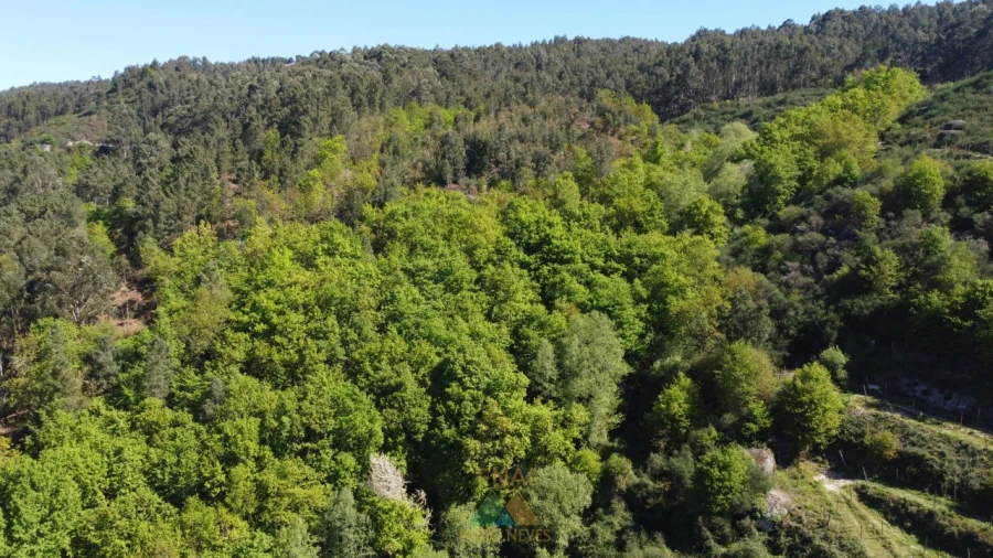 Moradia T3 para Venda em Caçarilhe e Infesta Foto 26