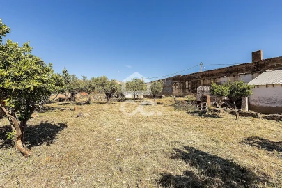 Moradia T4 para Venda em Amareleja