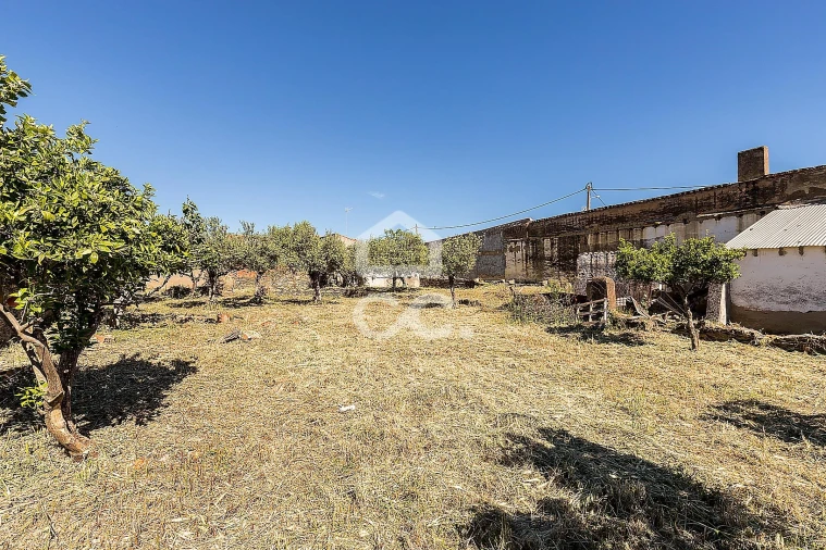 Moradia T4 para Venda em Amareleja Foto 49