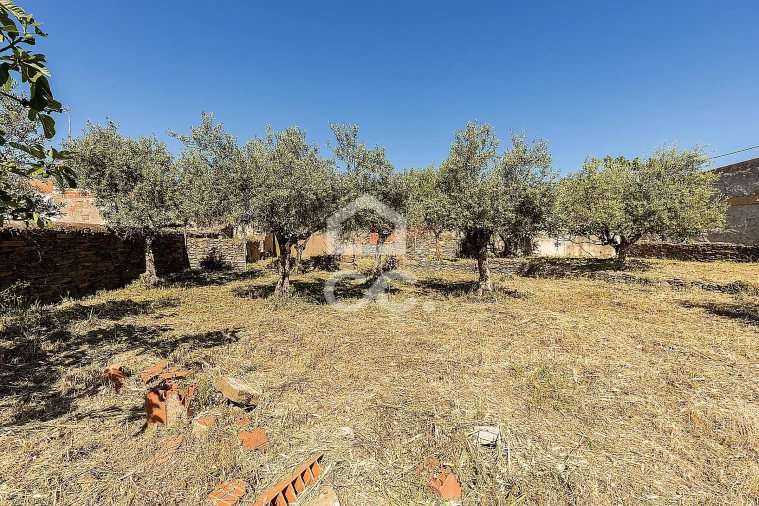 Moradia T4 para Venda em Amareleja Foto 38