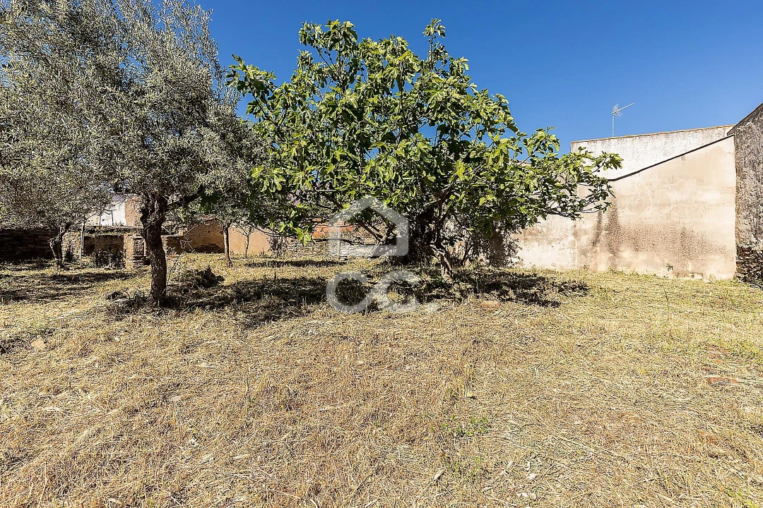 Moradia T4 para Venda em Amareleja Foto 37