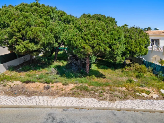 Terreno para Venda em Almancil Foto 5