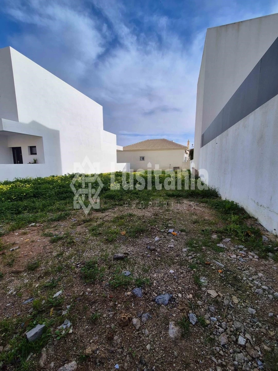 Terreno para Venda em Montenegro Foto 2