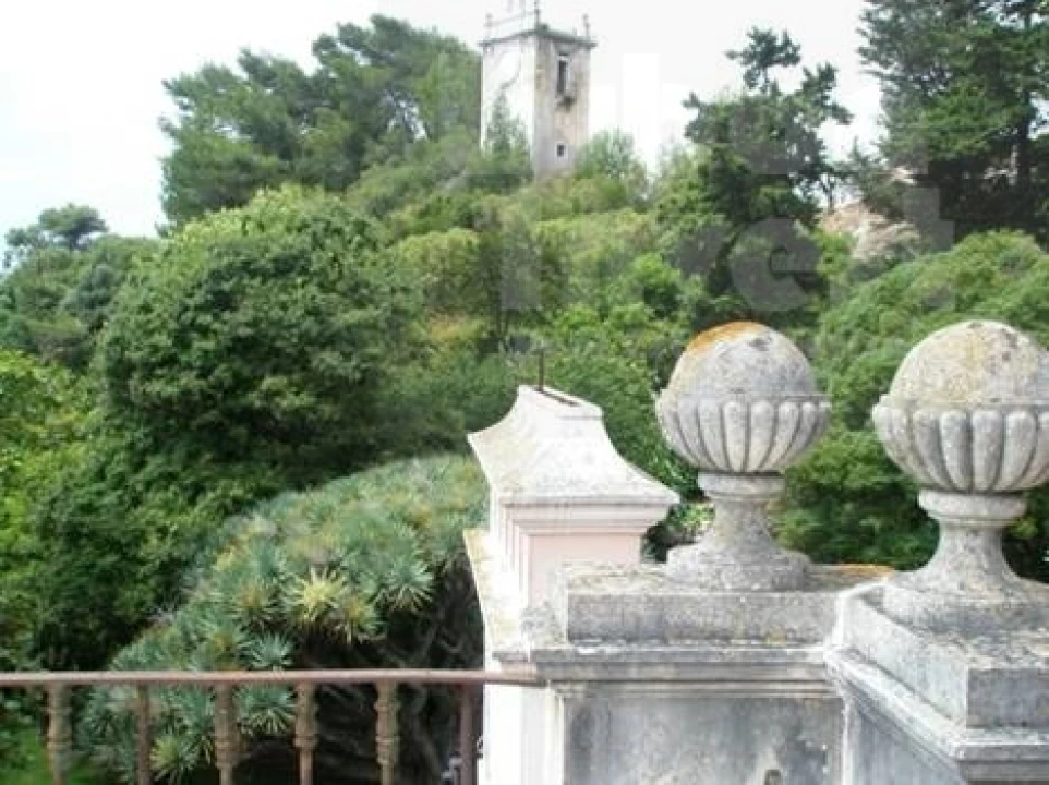 Moradia T30 para Venda em Oeiras e São Julião da Barra, Paço de Arcos e Caxias Foto 50