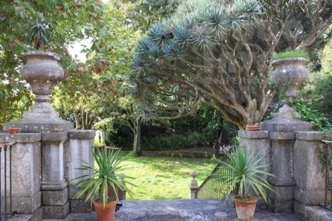 Moradia T30 para Venda em Oeiras e São Julião da Barra, Paço de Arcos e Caxias Foto 41