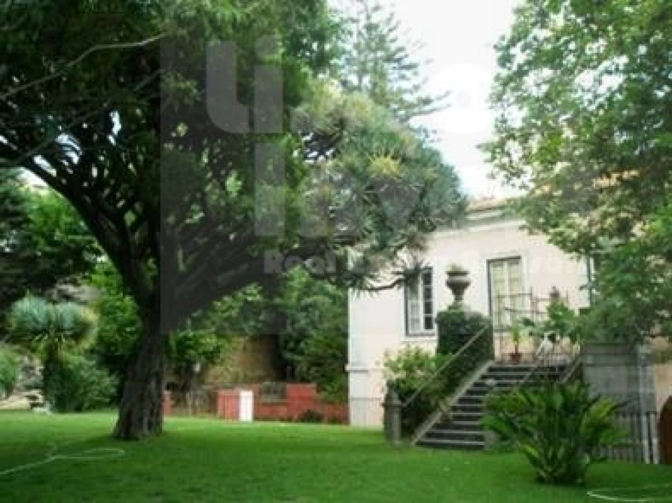 Moradia T30 para Venda em Oeiras e São Julião da Barra, Paço de Arcos e Caxias Foto 54