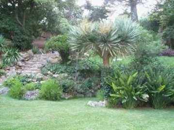 Moradia T30 para Venda em Oeiras e São Julião da Barra, Paço de Arcos e Caxias