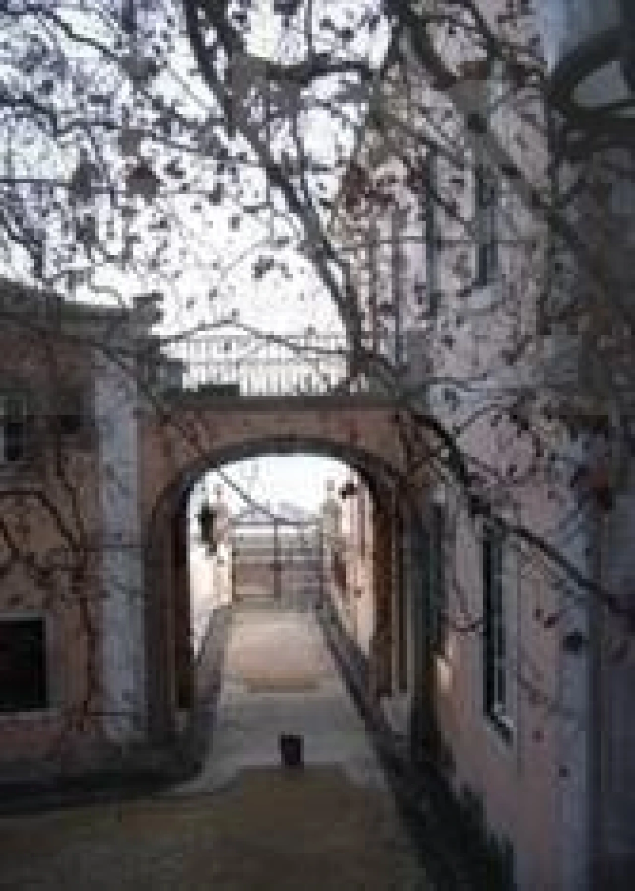 Moradia T30 para Venda em Oeiras e São Julião da Barra, Paço de Arcos e Caxias Foto 3