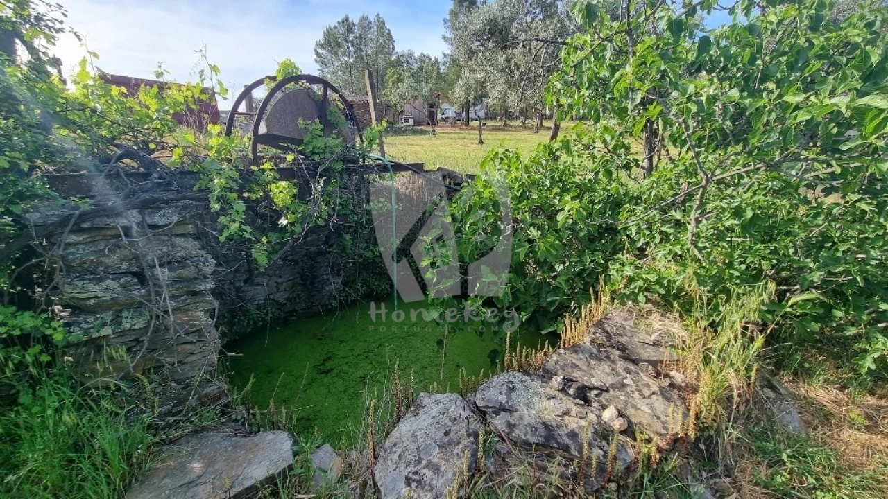 Terreno Agricola ou Rústico para Venda em Castelo Branco Foto 34