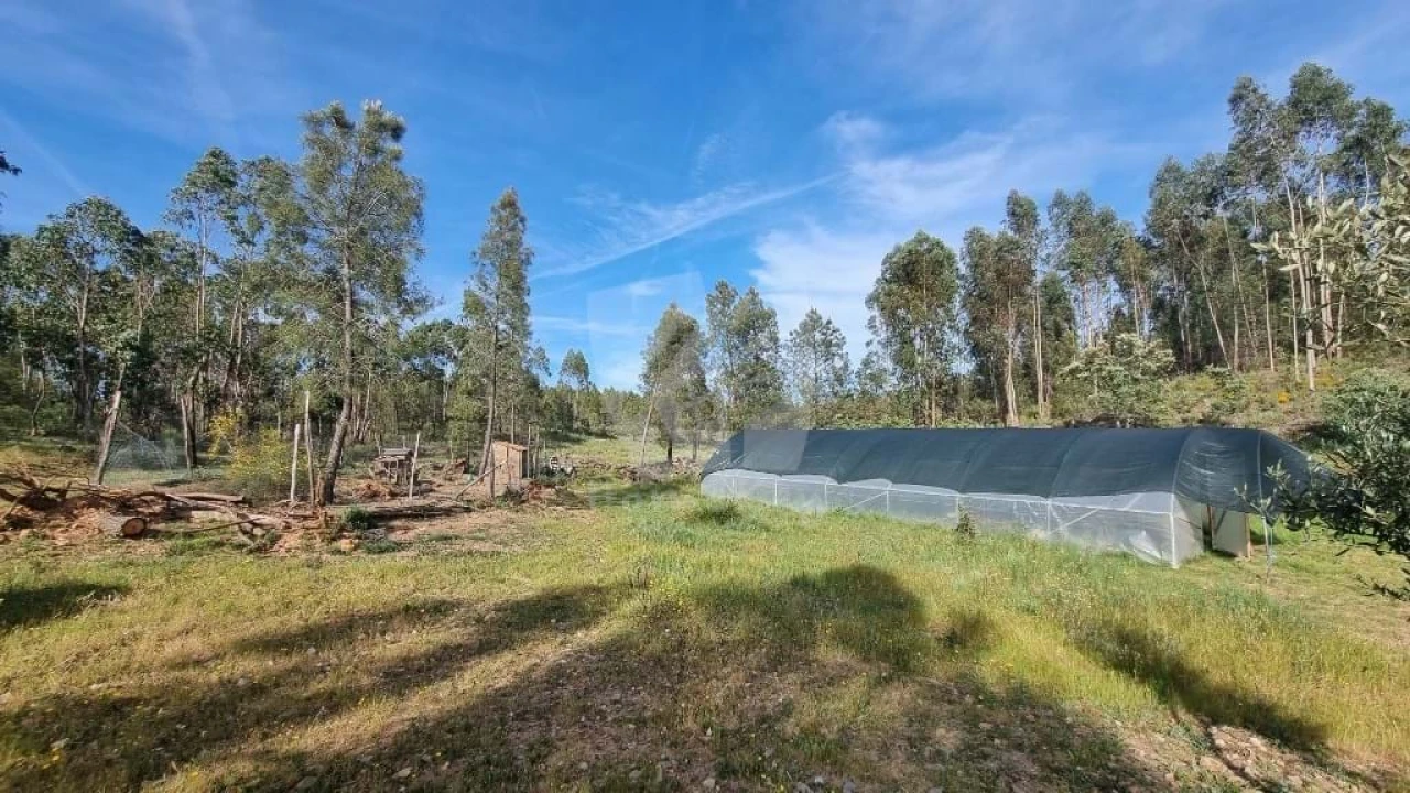 Terreno Agricola ou Rústico para Venda em Castelo Branco Foto 37