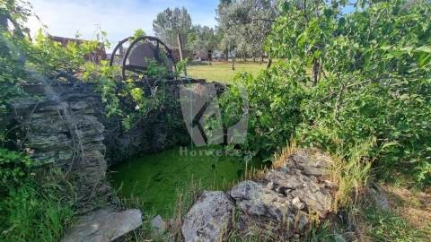 Terreno Agricola ou Rústico para Venda em Castelo Branco