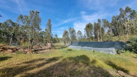 Terreno Agricola ou Rústico para Venda em Castelo Branco
