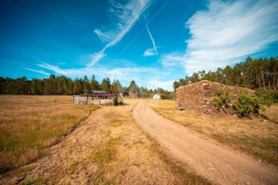 Terreno Agricola ou Rústico para Venda em Castelo Branco