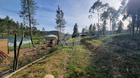 Terreno Agricola ou Rústico para Venda em Castelo Branco