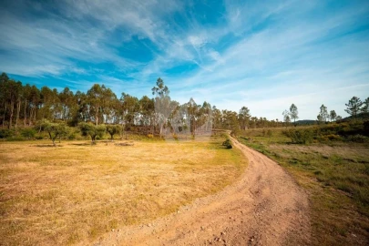 Terreno Agricola ou Rústico para Venda em Castelo Branco