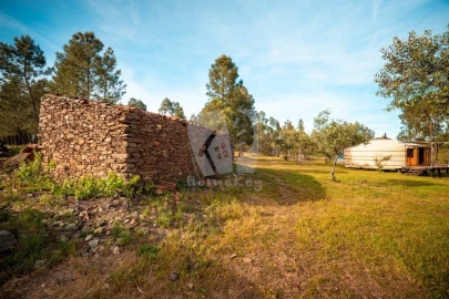 Terreno Agricola ou Rústico para Venda em Castelo Branco