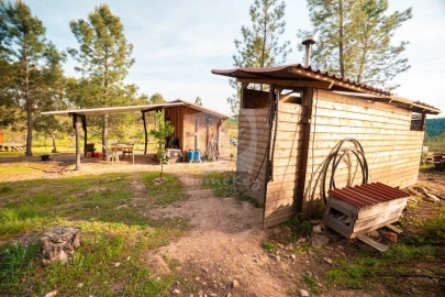 Terreno Agricola ou Rústico para Venda em Castelo Branco
