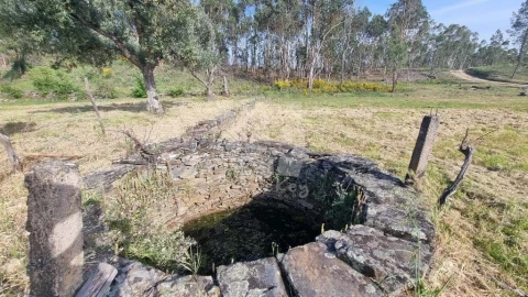 Terreno Agricola ou Rústico para Venda em Castelo Branco