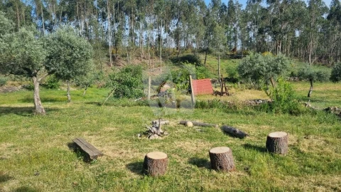 Terreno Agricola ou Rústico para Venda em Castelo Branco