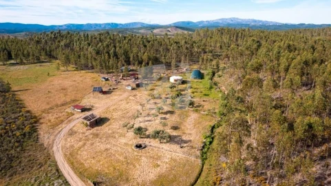 Terreno Agricola ou Rústico para Venda em Castelo Branco