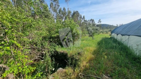 Terreno Agricola ou Rústico para Venda em Castelo Branco