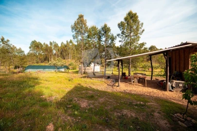 Terreno Agricola ou Rústico para Venda em Castelo Branco
