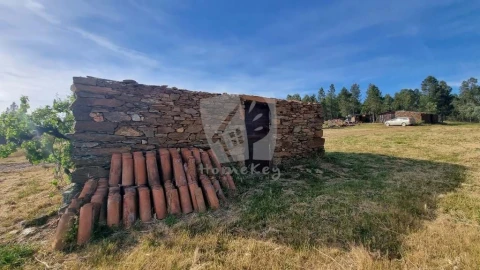 Terreno Agricola ou Rústico para Venda em Castelo Branco