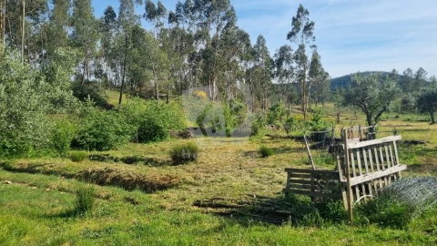Terreno Agricola ou Rústico para Venda em Castelo Branco