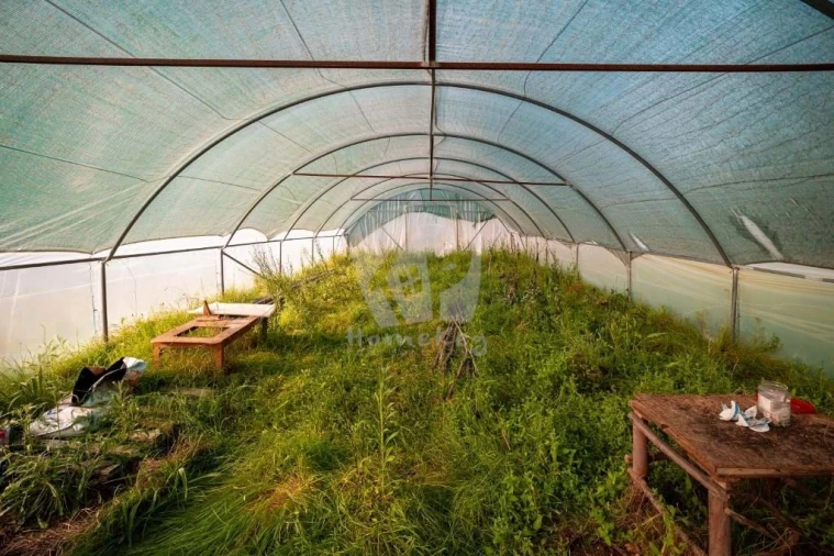 Terreno Agricola ou Rústico para Venda em Castelo Branco Foto 19