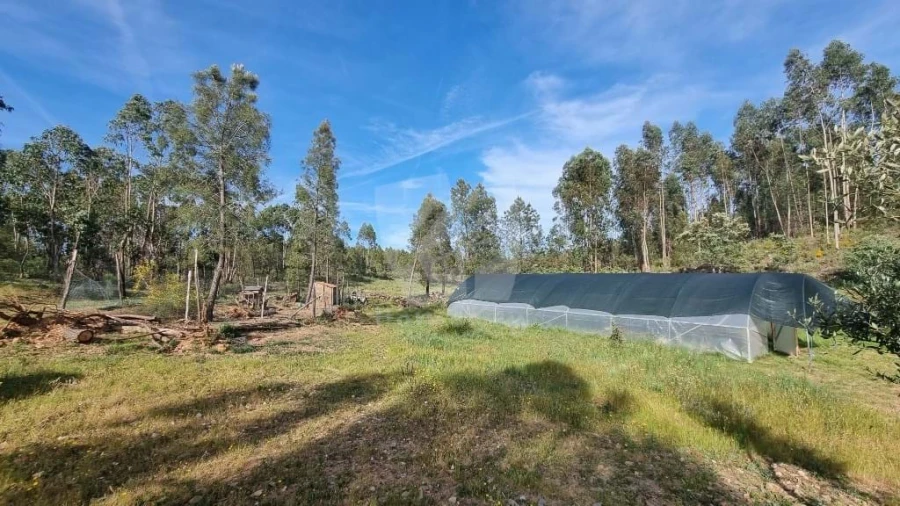 Terreno Agricola ou Rústico para Venda em Castelo Branco Foto 37