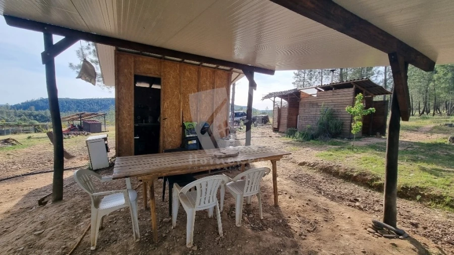Terreno Agricola ou Rústico para Venda em Castelo Branco Foto 25