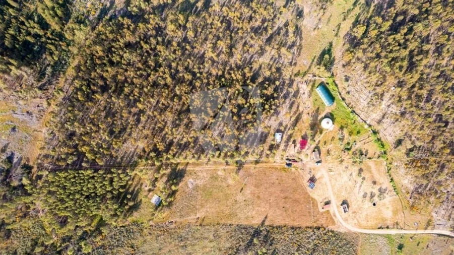 Terreno Agricola ou Rústico para Venda em Castelo Branco Foto 41
