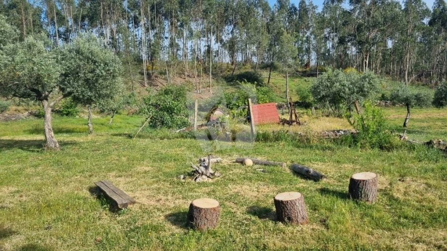 Terreno Agricola ou Rústico para Venda em Castelo Branco Foto 32