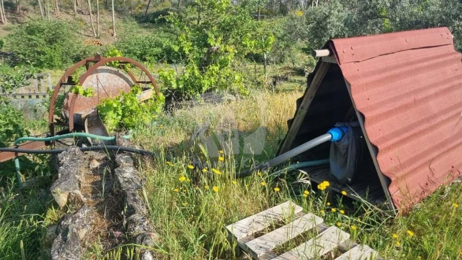 Terreno Agricola ou Rústico para Venda em Castelo Branco Foto 33