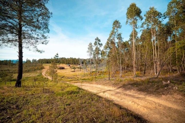 Terreno Agricola ou Rústico para Venda em Castelo Branco Foto 6