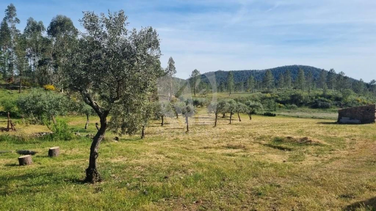 Terreno Agricola ou Rústico para Venda em Castelo Branco Foto 35