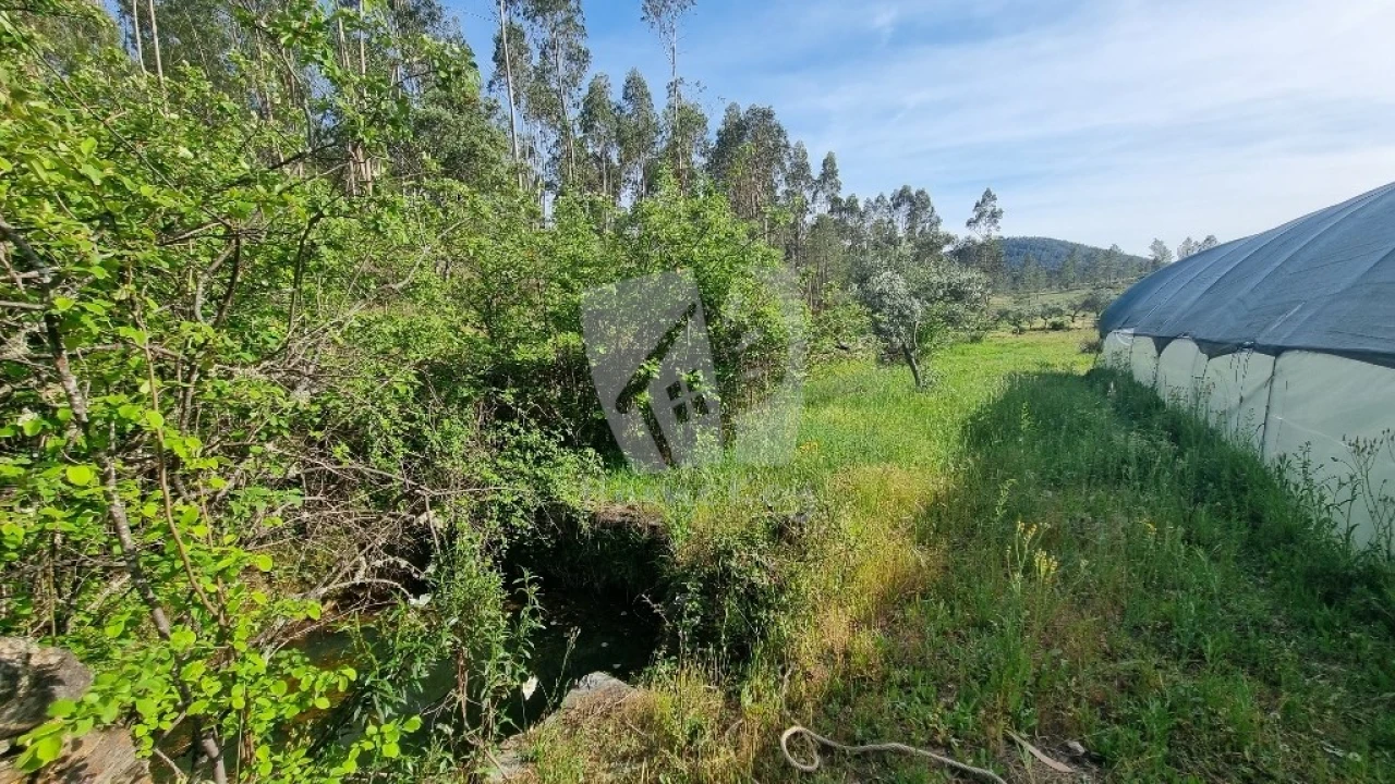 Terreno Agricola ou Rústico para Venda em Castelo Branco Foto 20