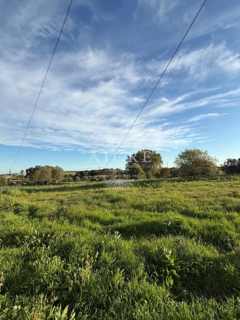 Moradia T2 para Venda em Nossa Senhora da Graça do Divor