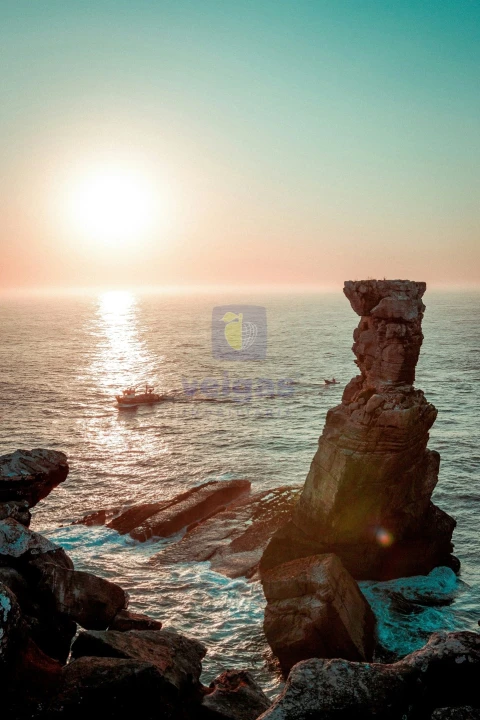 Prédio para Venda em Peniche