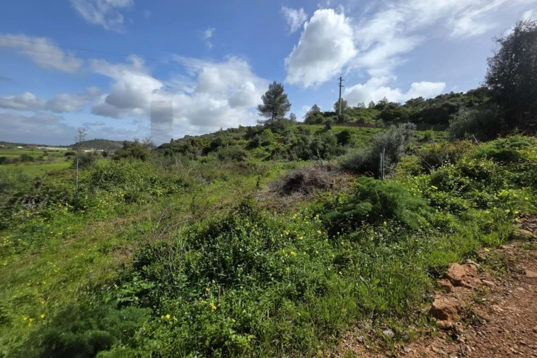 Terreno para Venda em Odiaxere Foto 2