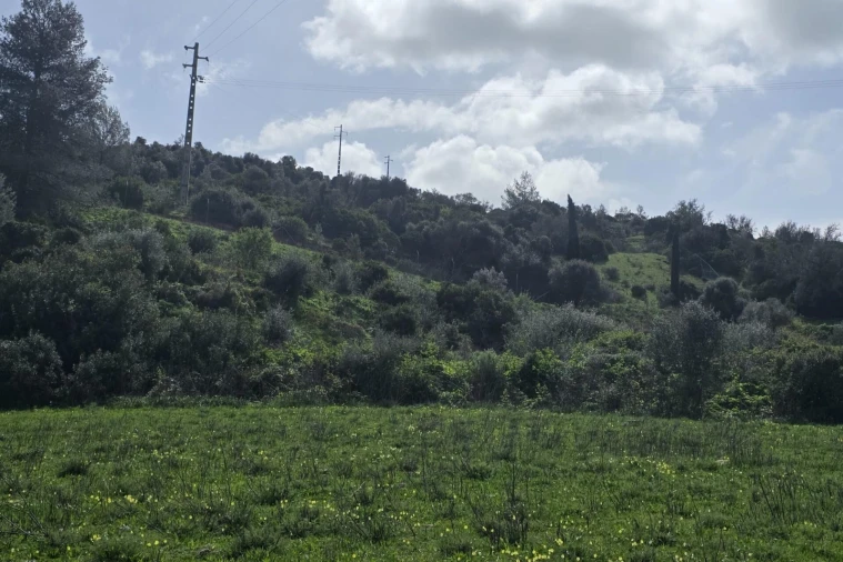 Terreno para Venda em Odiaxere Foto 4