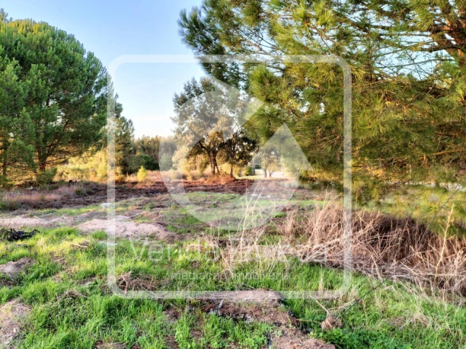 Quinta T1 para Venda em Canha Foto 20