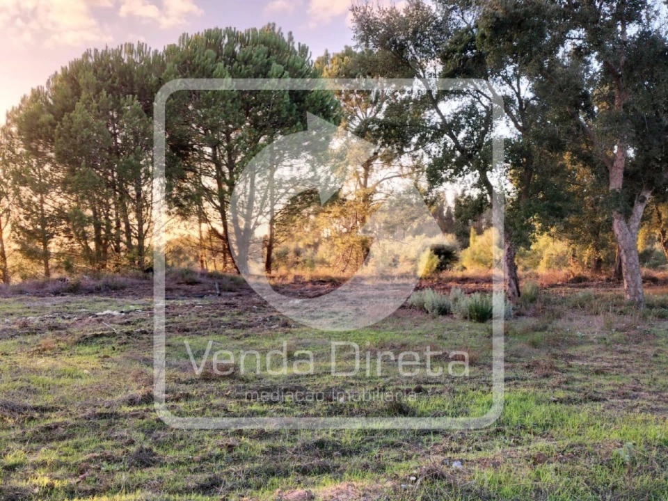 Quinta T1 para Venda em Canha Foto 21