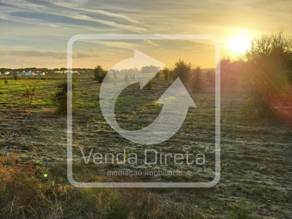 Quinta T1 para Venda em Canha Foto 24